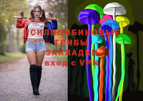 молекула духа Горно-Алтайск