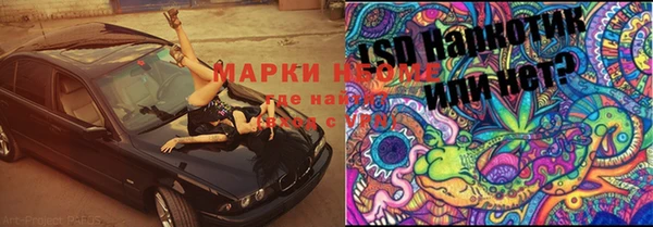 spice Горняк