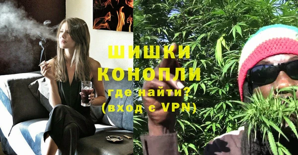 индика Сатка
