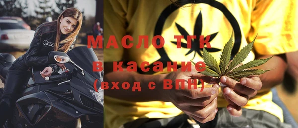 индика Сатка
