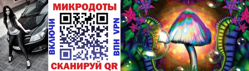 Галлюциногенные грибы мицелий  Москва 